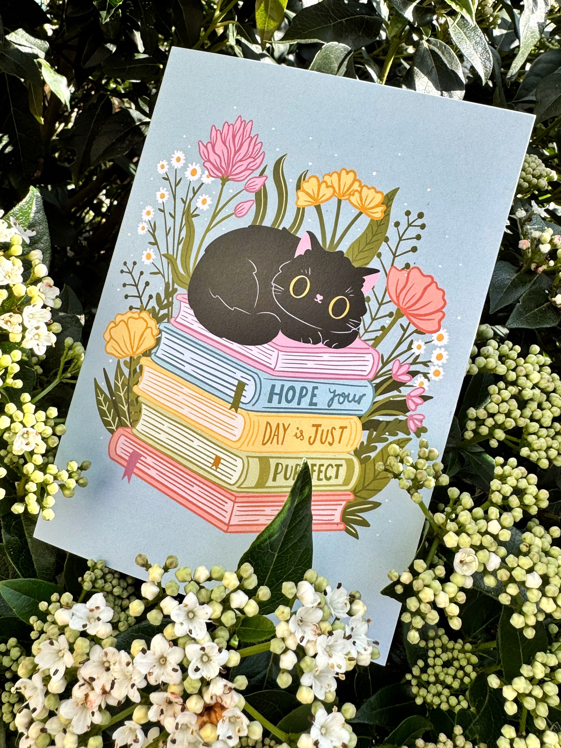 A cute A6 greeting card for cat and book lovers featuring a hand-drawn black cat sitting atop a stack of books with a cozy cottagecore aesthetic.