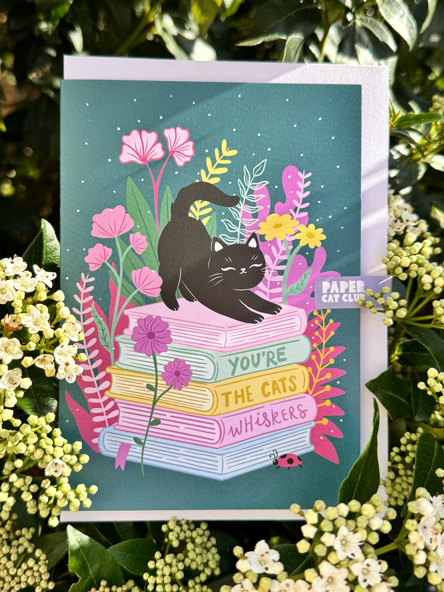 You're the cat's whiskers cute cat card - book lover and cat fans - eco friendly