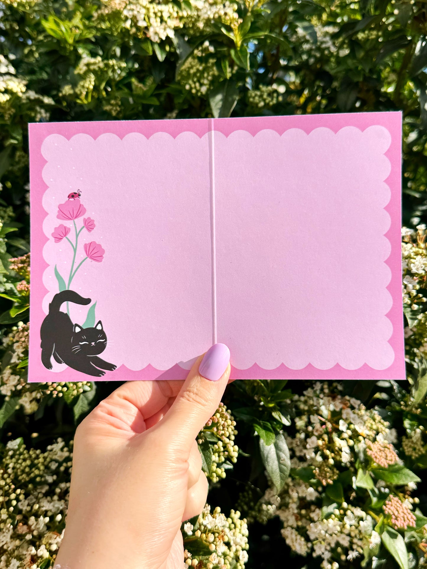 You're the cat's whiskers cute cat card - book lover and cat fans - eco friendly