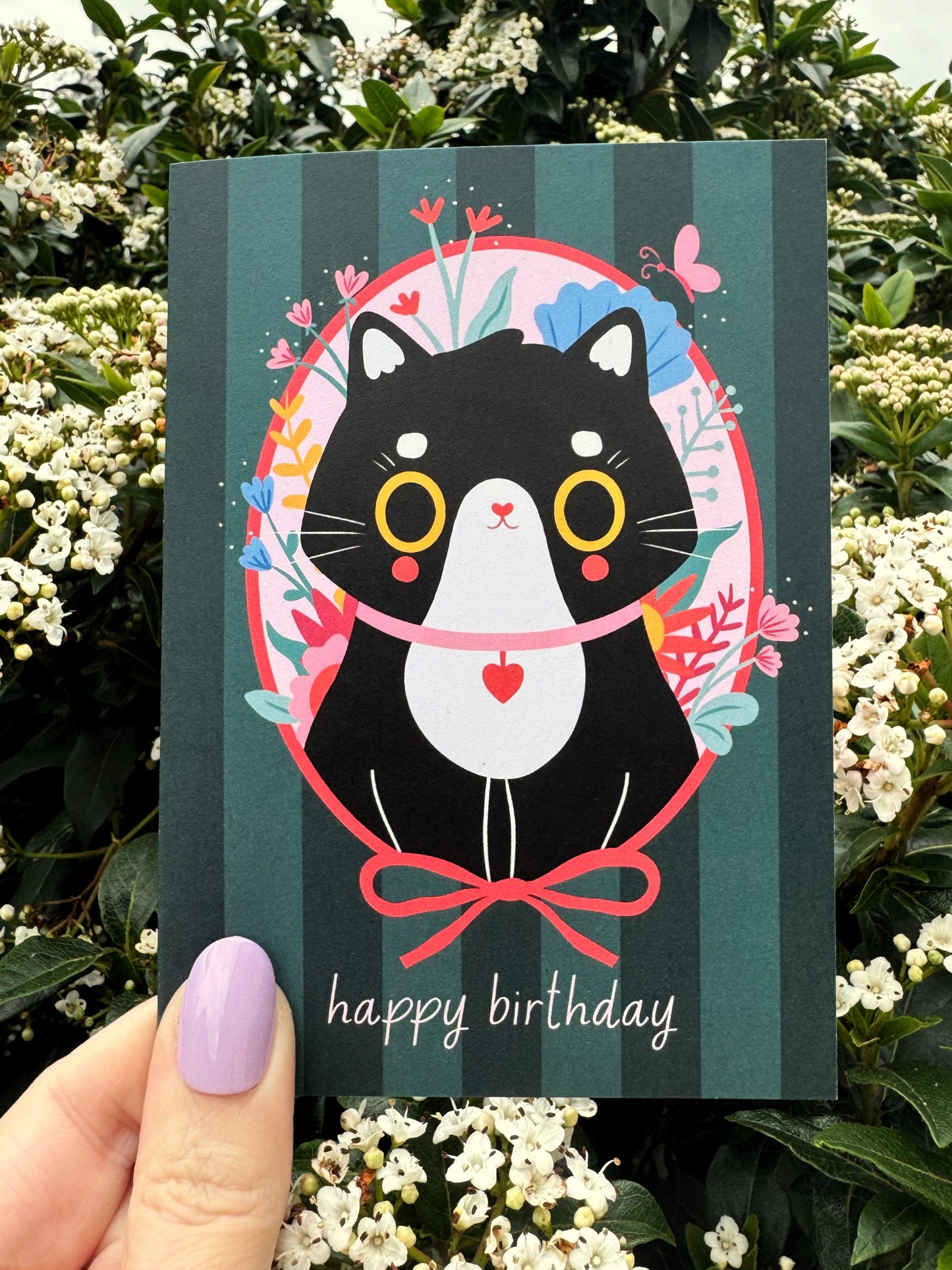 Cat Birthday Card -  A6 Tuxedo Cat Card