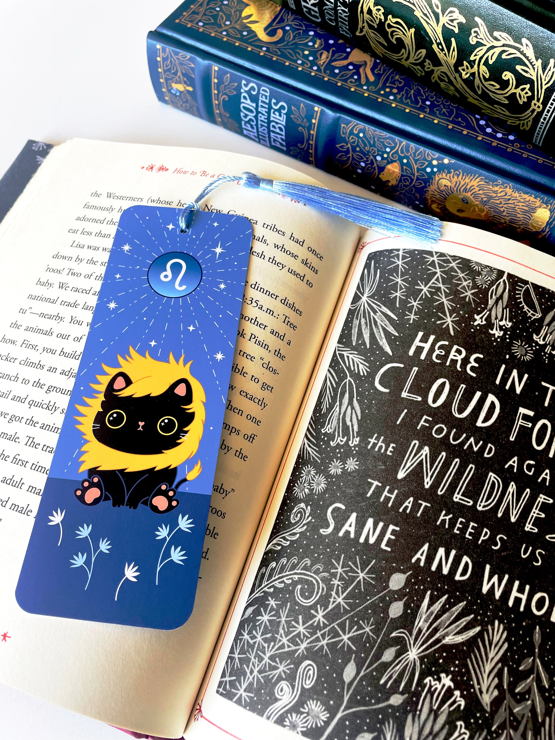 Zodiac sign Leo cat bookmark being shown on a book page